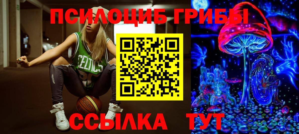 Лабинск  Псилоцибиновые грибы Psilocybe  Вход с VPN 